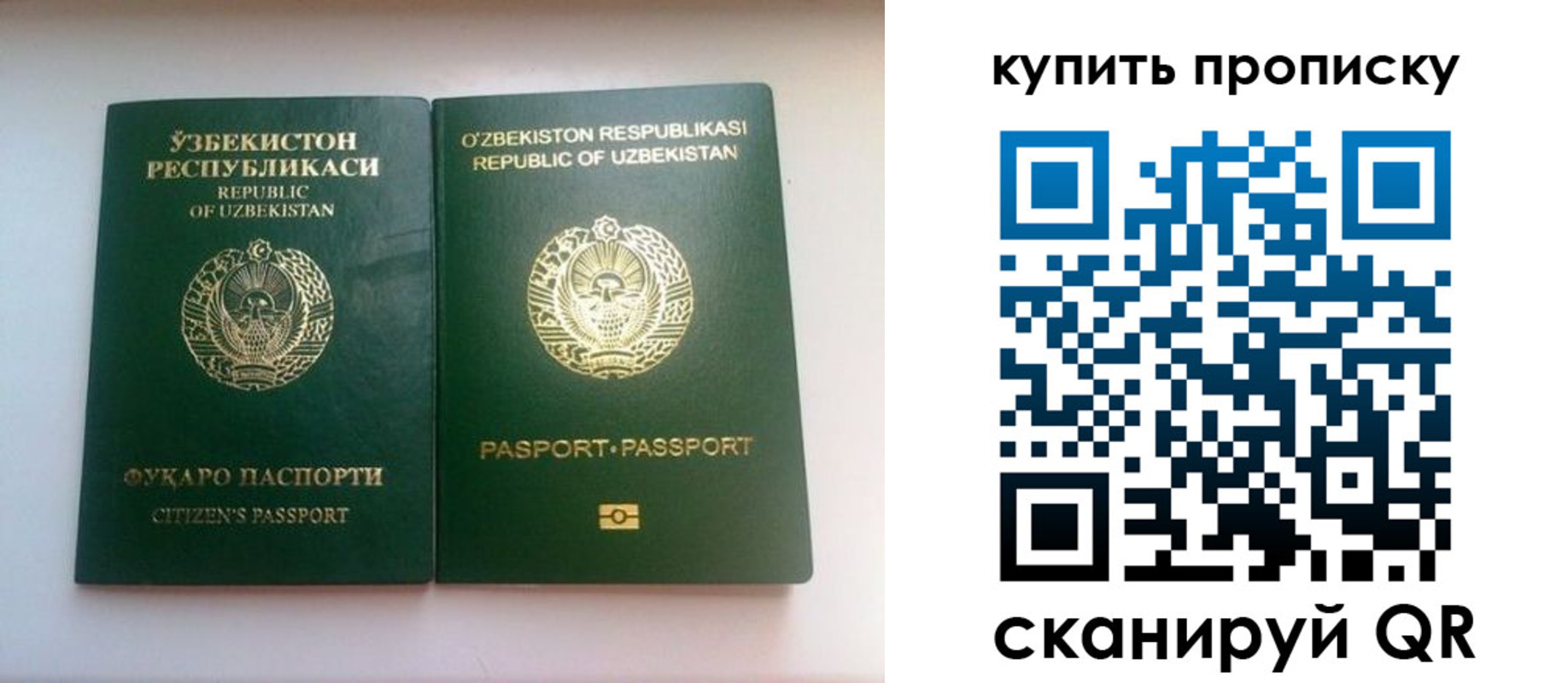 временная прописка в Новодвинске